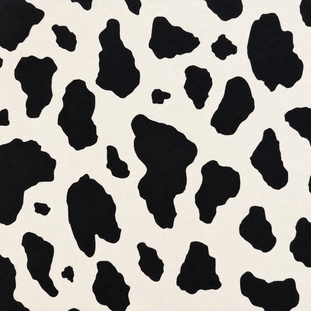 Bold black cow spots on cream.